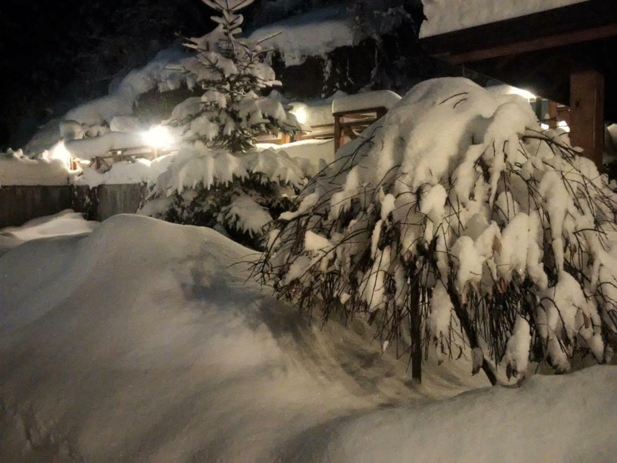 Vila Rila Samokov Exteriör bild